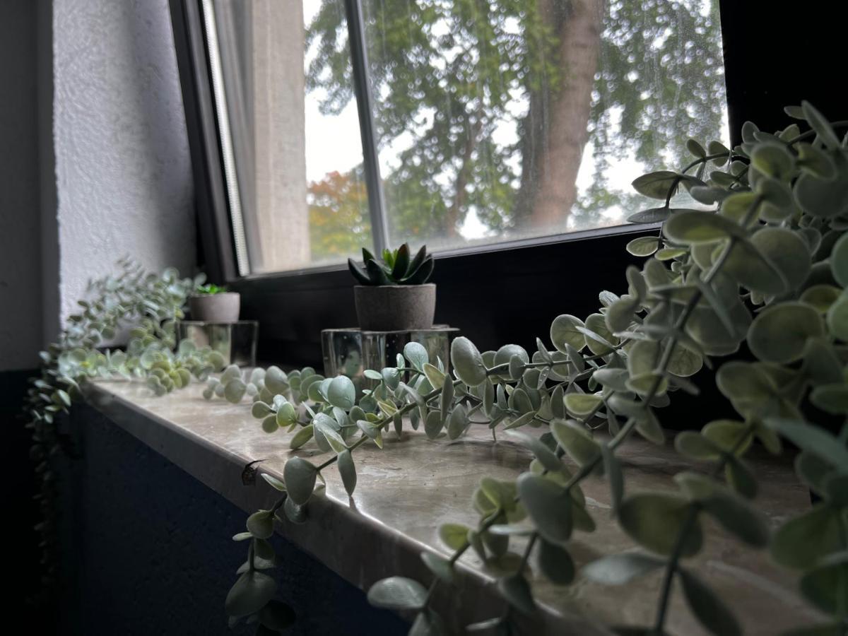Moebliertes Wohnung Am Geroweiher Moenchengladbach Buitenkant foto